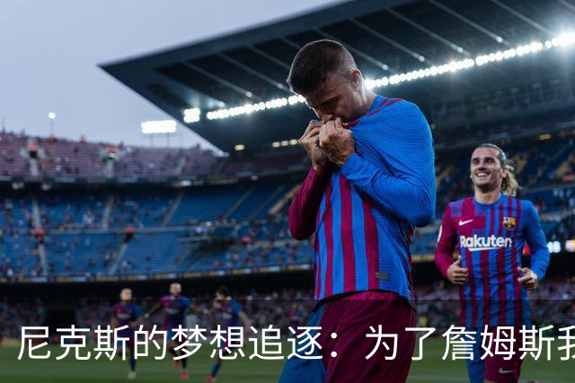 尼克斯的梦想追逐：为了詹姆斯我们拼了两年